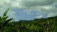 /album/fotogaleria-inicio1/abasolo-chiapas-mexico-142-jpg1/